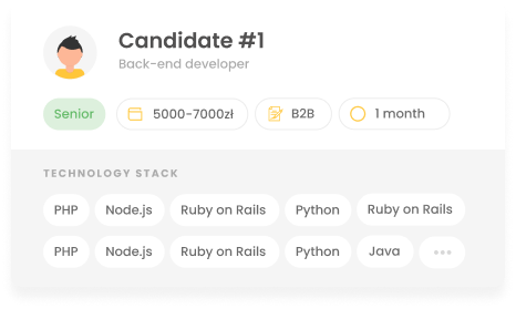 IT candidate profile in Workeo